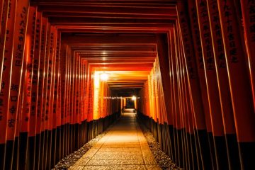 Fushimi Inari Shrine