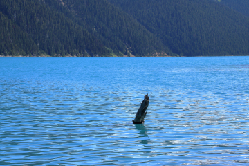 Garibaldi Lake