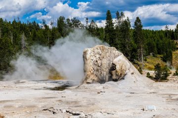 IMG_5946_20220804-scaled