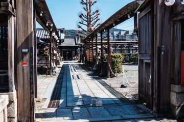 Hanamikoji  at day
