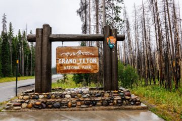 IMG_5971_20220805-scaled