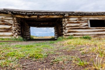 IMG_5981_20220805-scaled