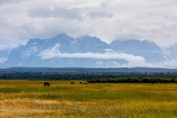 IMG_5987_20220805-scaled