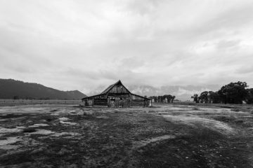 IMG_5997_20220805-scaled