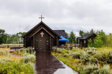 IMG_6008_20220805-scaled