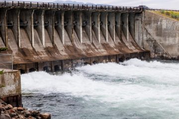 IMG_6057_20220805-scaled