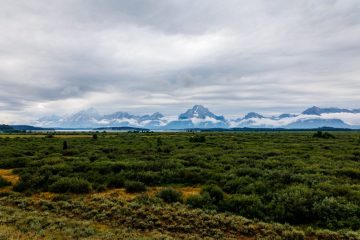 IMG_6058_20220805-scaled