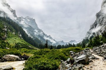 IMG_6142_20220806-scaled