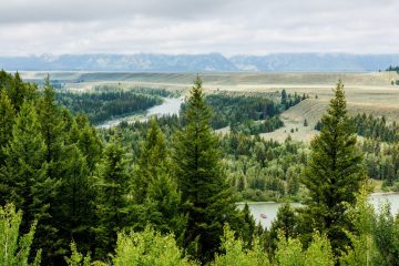 IMG_6190_20220807-scaled