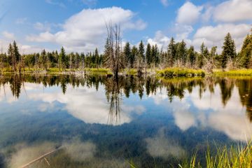 IMG_6193_20220807-scaled