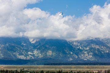 IMG_6322_20220807-scaled