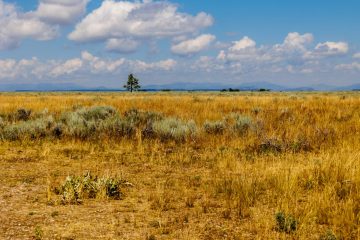 IMG_6332_20220807-scaled