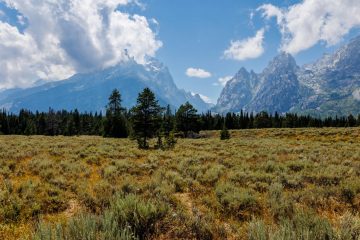 IMG_6356_20220807-scaled