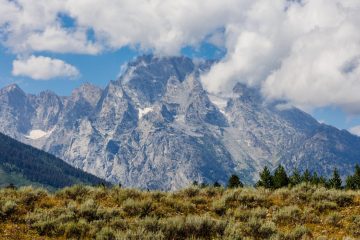 IMG_6381_20220807-scaled