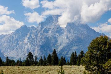 IMG_6387_20220807-scaled