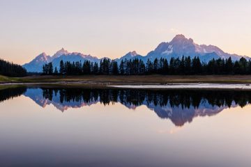 IMG_6425_20220807-scaled