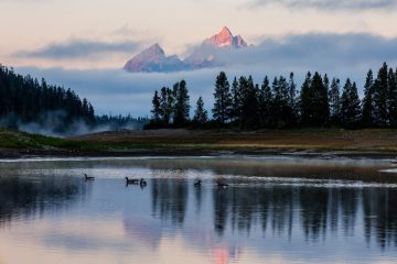 IMG_6450_20220808-scaled