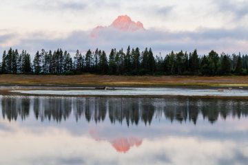 IMG_6465_20220808-scaled