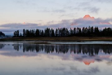 IMG_6478_20220808-scaled