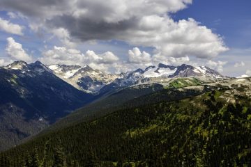 20250801-IMG_3145-scaled