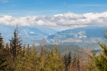 View on Harrison Lake Lookout
