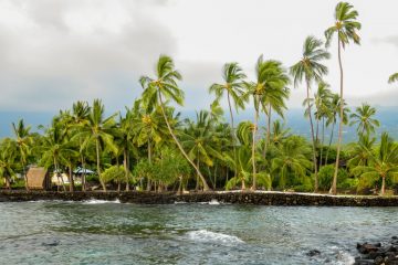 IMG_1582_20160902-scaled