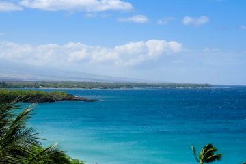 IMG_1531_20160902-scaled