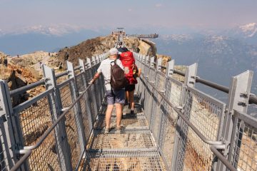 Skybridge