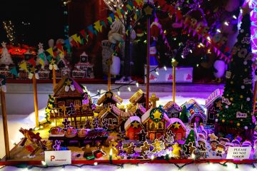 IMG_0038-Edit_20221217-scaled