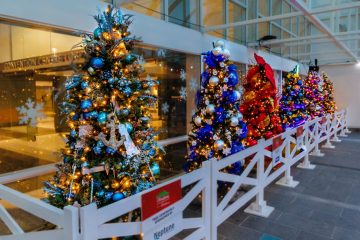 Christmas Trees