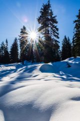Hollyburn Peak