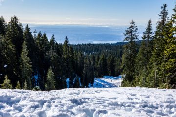 Looking at Vancouver on Hollyburn Peak