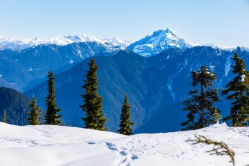 Cathedral Mountain