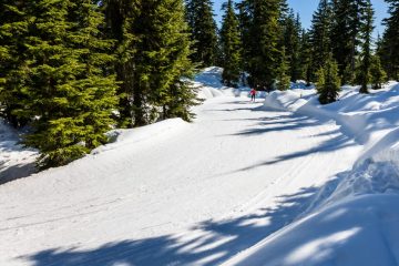 A skier is skiing on the Nordic Ski Trail