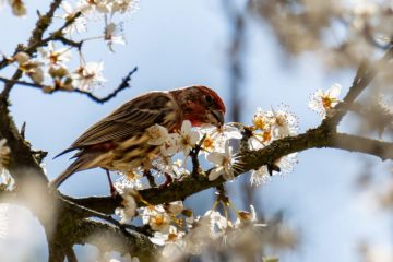 IMG_4773_20210325-scaled
