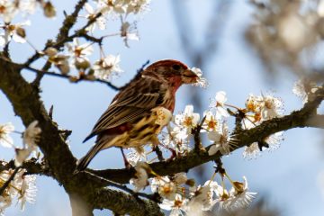 IMG_4776_20210325-scaled