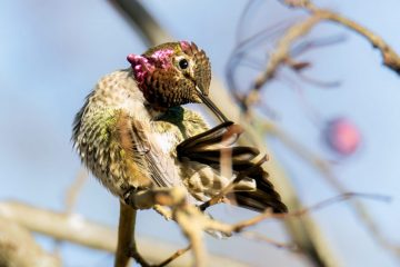 IMG_2094-Edit_20211219-scaled
