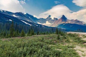Icefields Parkway