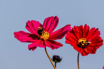 IMG_8062_20221009-scaled
