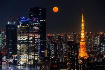 IMG_1469-Edit-2_20230308-scaled