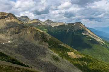 IMG_8724_20210725-scaled