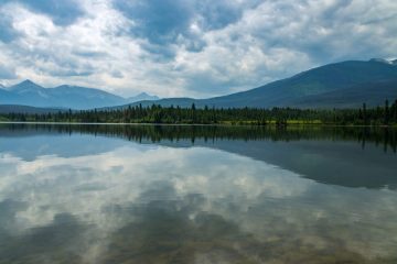 IMG_8804_20210725-scaled