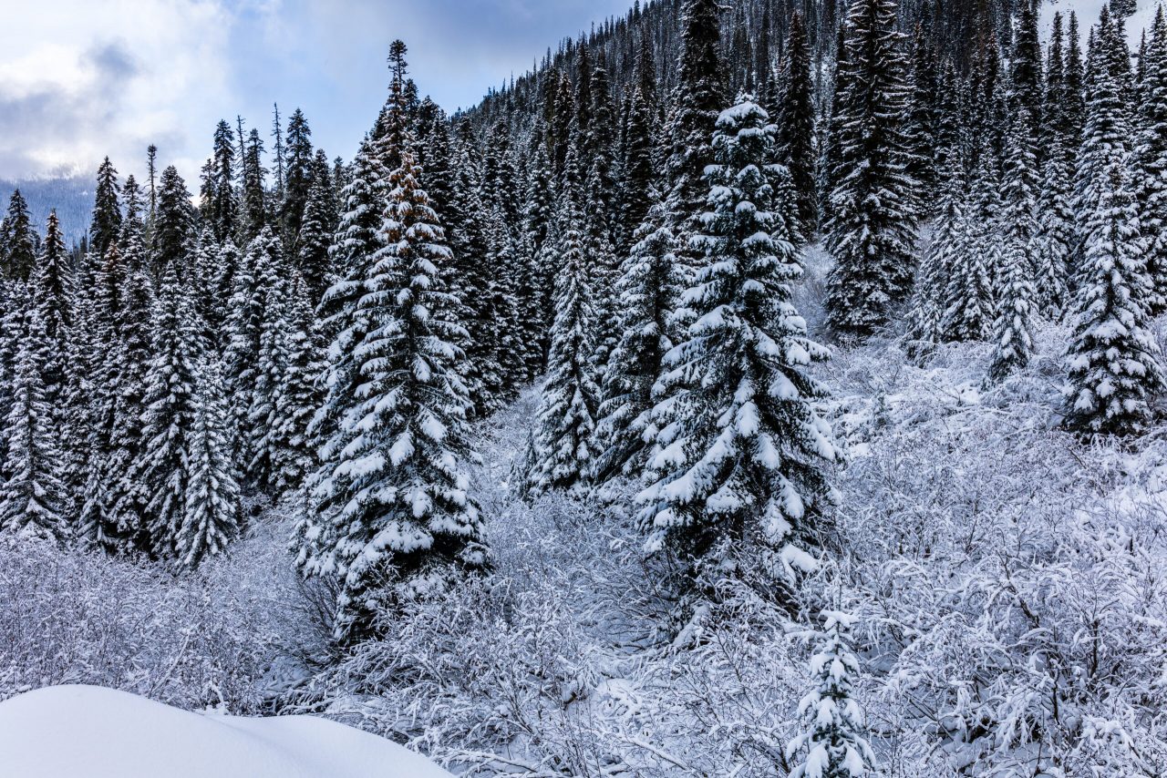 Joffre Lakes Trail - Winter