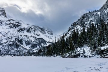 IMG_9340_20221127-scaled