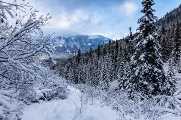 Joffre Lakes Trail - Winter