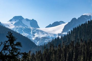 Joffre Lake Trail