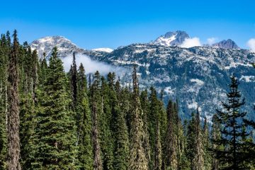 Joffre Lake Trail