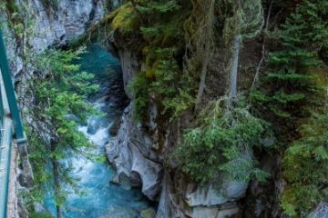 IMG_7533_20210721-scaled