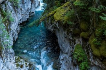 IMG_7534_20210721-scaled