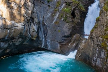 IMG_7547_20210721-scaled